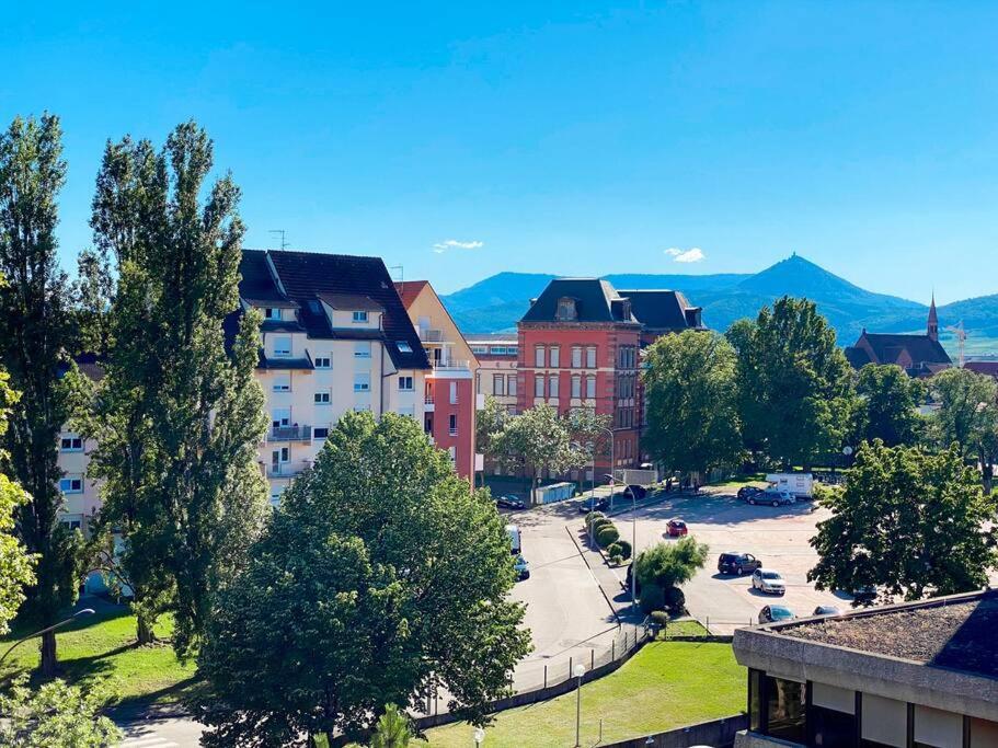 Le Belvedere Alsacien Sélestat Kültér fotó
