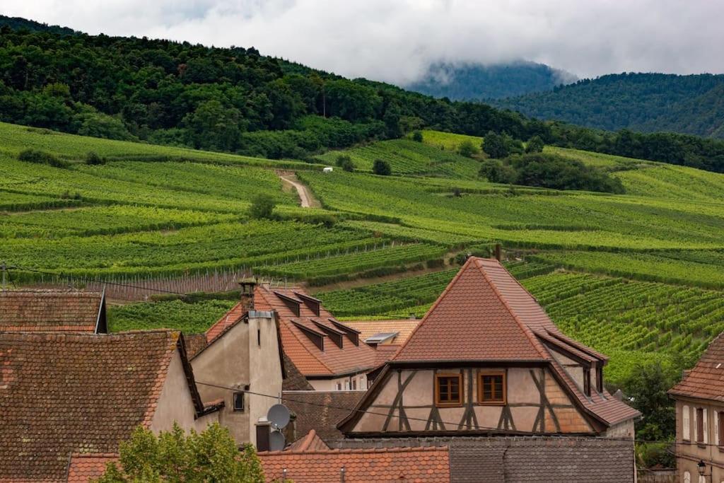 Le Belvedere Alsacien Sélestat Kültér fotó